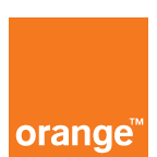 Orange Business Services